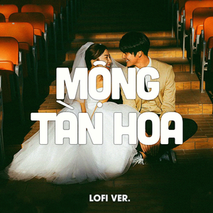 Mộng Tàn Hoa (Meow Remix) - Lofi