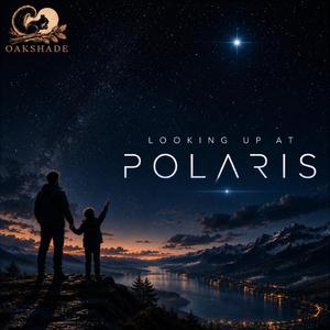 Looking Up at Polaris
