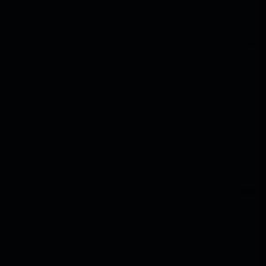 白首不分离