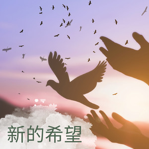 新希望