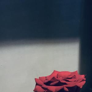 生命所不能承受的