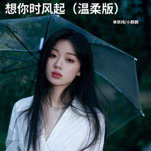 想你时风起