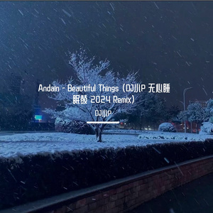Andain- Beautiful Things (DJ小P 无心睡眠鼓 Remix)飘纱