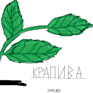 Крапива