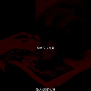 柔和的训练犬时刻