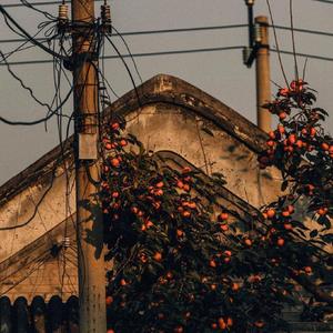 世间美好与你环环相