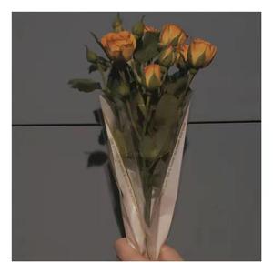 Liquor Whisper REMIX