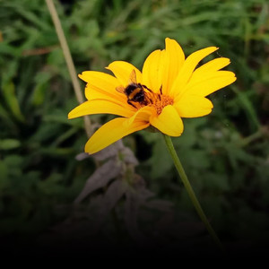 Take It Easy (Original Mix)