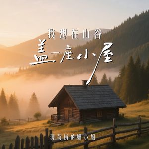 我想在山谷盖一座小屋