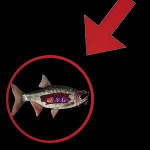 маркетплейс