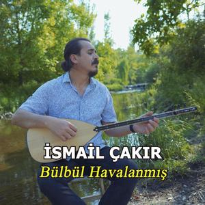 Bülbül Havalanmış