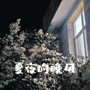 夏夜的晚风(prod.谢云飞Zero)