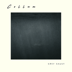 Grey Ghost