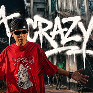 VIDA CRAZY