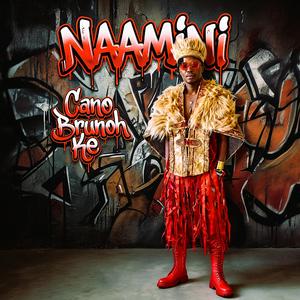 NAAMINI
