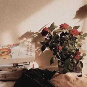 还是分开（片段）