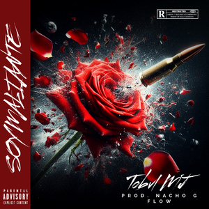 SOY MALIANTE (Remix)