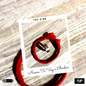 Nunca Te Voy a Olvidar