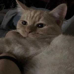 银河与星斗（温柔合集版）