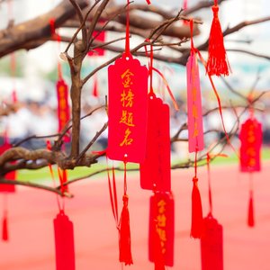 黼蔀黻纪（献给高三2班）