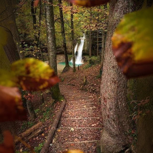 大愚 (DJ子龙版)