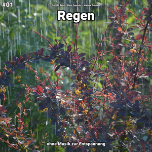 Regen, pt. 25