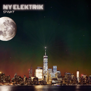 NY Elektrik