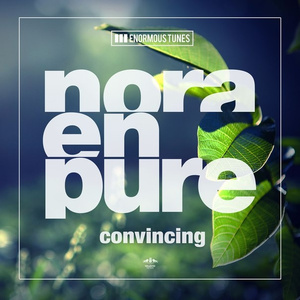 Convincing (Original Club Mix)