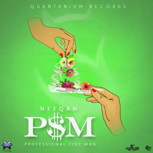 P.S.M (Personal Side Man)