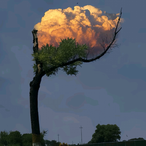 课桌间的旧时光