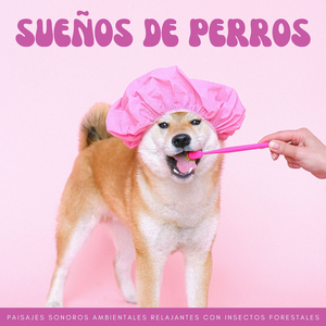 Ráfagas Suaves Para Un Buen Comportamiento