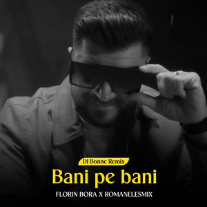 Bani pe bani (DJ Bonne Remix)