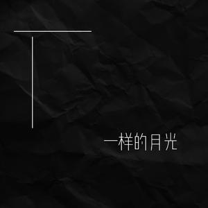 一样的月光