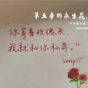 愿（cover：艾辰）