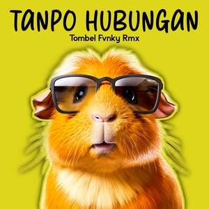 Tanpo Hubungan