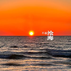 伤透的季节