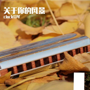 这一生关于你的风景 十孔口琴