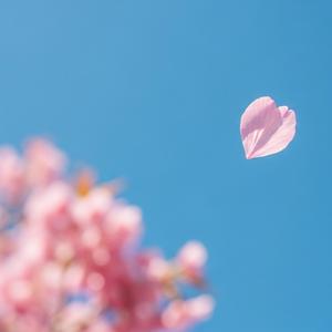 刚好遇见你 (In)