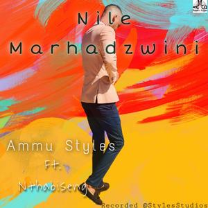 Nile Marhandzwini (Radio Edit)