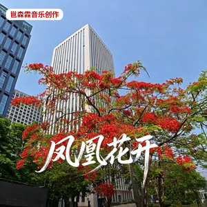 凤凰花开