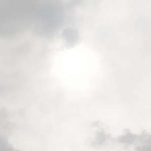 单词填空FU()K的答案不止有C还有N噢 试听.ver