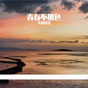 萤火微光里
