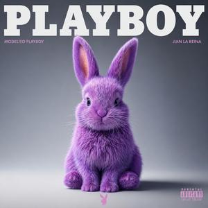 Modelito PlayBoy