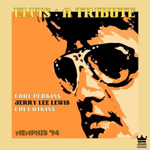 Blue Suede Shoes (Live)