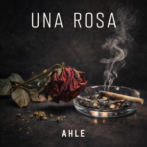 Una Rosa