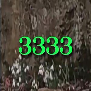 3333