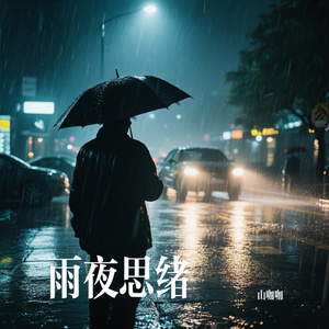 雨夜思绪