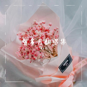 不知归期的故人( 翻自 房东的猫）