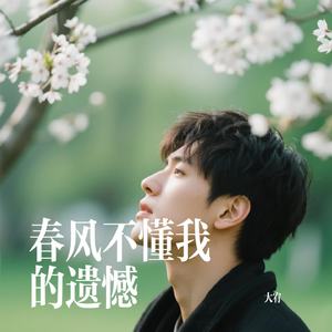 春风不懂我的遗憾