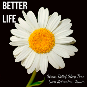 Meditations (Contentration, Mind Power)